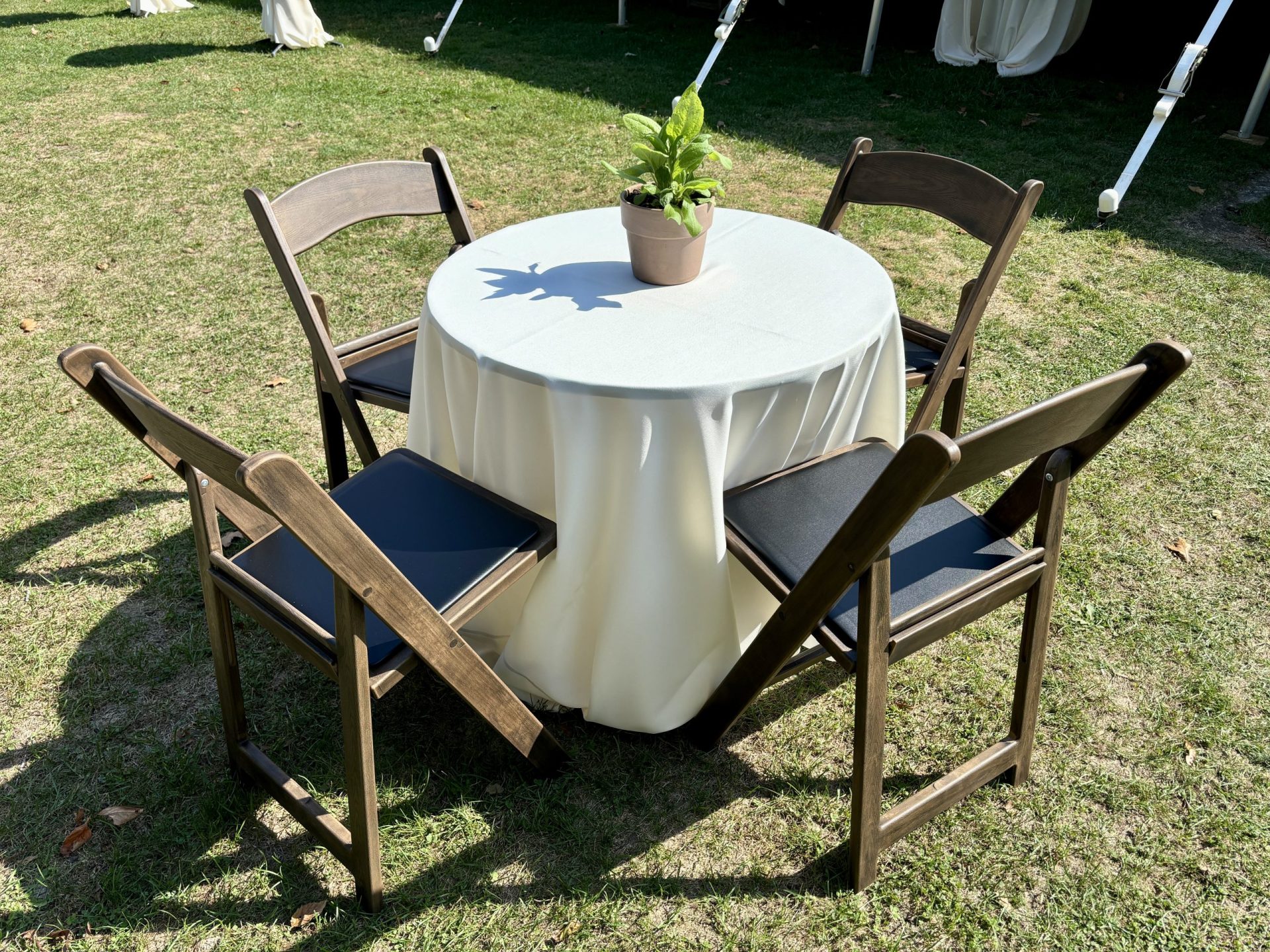 IMG_6409 30" table & fruitwood chairs